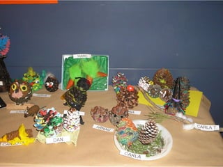 Pinyes 2011 12