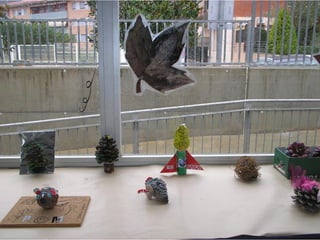 Pinyes 2011 12