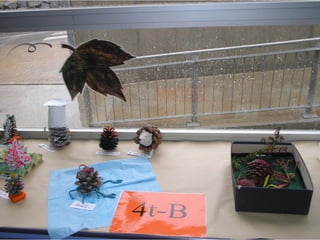 Pinyes 2011 12