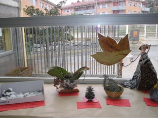 Pinyes 2011 12