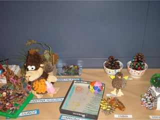 Pinyes 2011 12