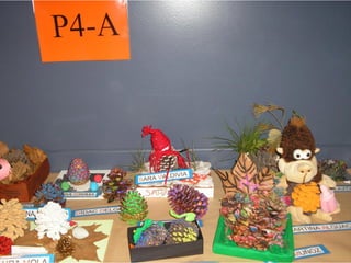 Pinyes 2011 12