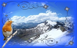 Nyitnikék-tavaszváró dia 