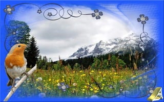 Nyitnikék-tavaszváró dia 