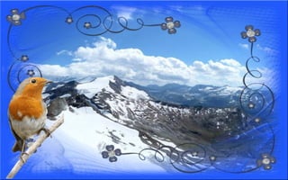 Nyitnikék-tavaszváró dia 