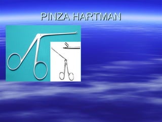 PINZA HARTMAN
 