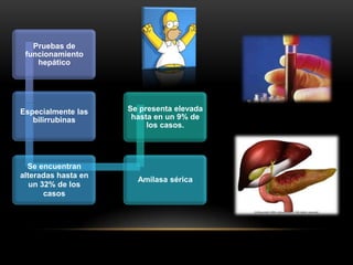 Pruebas de
 funcionamiento
    hepático




Especialmente las    Se presenta elevada
   bilirrubinas       hasta en un 9% de
                          los casos.




  Se encuentran
alteradas hasta en
                       Amilasa sérica
   un 32% de los
       casos
 