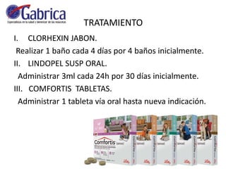TRATAMIENTO
I. CLORHEXIN JABON.
Realizar 1 baño cada 4 días por 4 baños inicialmente.
II. LINDOPEL SUSP ORAL.
Administrar 3ml cada 24h por 30 días inicialmente.
III. COMFORTIS TABLETAS.
Administrar 1 tableta vía oral hasta nueva indicación.
 