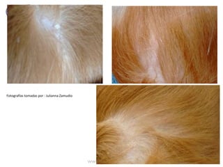 Fotografías tomadas por : Julianna Zamudio
 