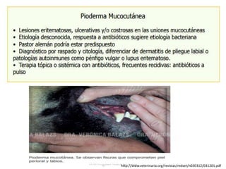 http://www.veterinaria.org/revistas/redvet/n030312/031201.pdf
 