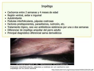 http://www.veterinaria.org/revistas/redvet/n030312/031201.pdf
 