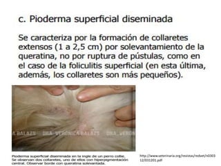 http://www.veterinaria.org/revistas/redvet/n0303
12/031201.pdf
 