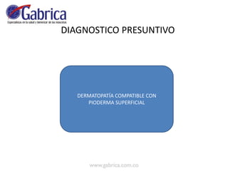DIAGNOSTICO PRESUNTIVO
DERMATOPATÍA COMPATIBLE CON
PIODERMA SUPERFICIAL
 