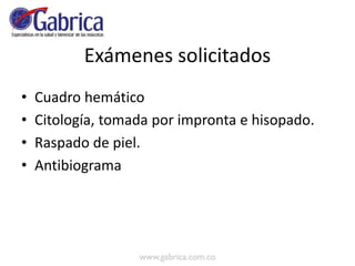 Exámenes solicitados
• Cuadro hemático
• Citología, tomada por impronta e hisopado.
• Raspado de piel.
• Antibiograma
 
