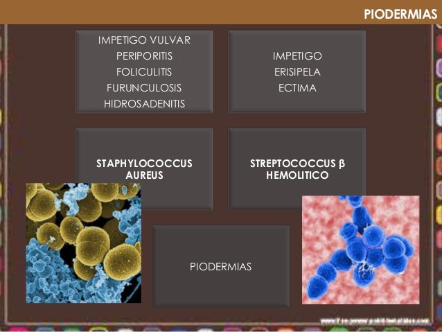 Терапия пациентов с розацеа