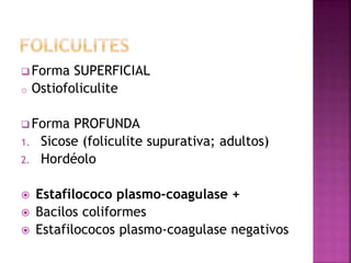  Forma SUPERFICIAL
o Ostiofoliculite
 Forma PROFUNDA
1. Sicose (foliculite supurativa; adultos)
2. Hordéolo
 Estafilococo plasmo-coagulase +
 Bacilos coliformes
 Estafilococos plasmo-coagulase negativos
 