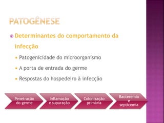  Determinantes do comportamento da
infecção
 Patogenicidade do microorganismo
 A porta de entrada do germe
 Respostas do hospedeiro à infecção
Penetração
do germe
Inflamação
e supuração
Colonização
primária
Bacteremia
e
septicemia
 