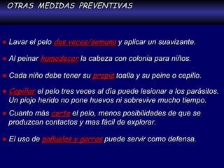 OTRAS  MEDIDAS  PREVENTIVAS ●   Lavar el pelo  dos veces/semana  y aplicar un suavizante. ●   Al peinar  humedecer   la cabeza con colonia para niños. ●   Cada niño debe tener su  propia  toalla y su peine o cepillo. ●   Cepillar   el pelo tres veces al día puede lesionar a los parásitos. Un piojo herido no pone huevos ni sobrevive mucho tiempo. ●   Cuanto más  corto   el pelo, menos posibilidades de que se produzcan contactos y mas fácil de explorar. ●   El uso de  pañuelos y gorros  puede servir como defensa. 