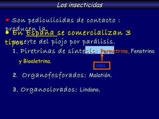 Los insecticidas    Son pediculicidas de contacto : producen la muerte del piojo por parálisis.      En  España  se comercializan  3  tipos  : 1.  Piretrinas de síntesis:  Permetrina,  Fenotrina  y Bioaletrina.  2 .   Organofosforados:  Malatión . 3.  Organoclorados:  Lindano . OMS 