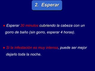 2.  Esperar ●   Esperar   30 minutos   cubrie ndo la cabeza con un  gorro de baño (sin gorro, esperar 4 horas).  ●   Si la infestación es muy intensa , puede ser mejor dejarlo toda la noche.  