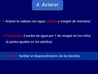 4. Aclarar ●   Aclarar la cabeza con agua   caliente   y vinagre de manzana.   ●   Proporción:   2 partes de agua por 1 de vinagre en los niños (a partes iguales en los adultos).   ●  Objetivo:   facilitar el desprendimiento de las liendres.  