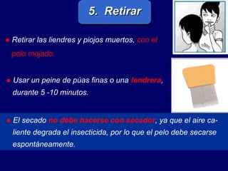 5.  Retirar ●   Retirar las liendres y piojos muertos,  con el pelo mojado. ●   Usar un peine de púas finas o una   lendrera , durante 5 -10 minutos. ●   El secado   no debe hacerse con secador , ya que el aire ca-  liente degrada el insecticida, por lo que el pelo debe secarse  espontáneamente.  