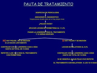PAUTA DE TRATAMIENTO SOSPECHA DE PEDICULOSIS ASEGURAR EL DIAGNOSTICO Inspeccionar el pelo para ver si hay piojos vivos ¿PIOJOS VIVOS? APLICAR LOCION DE PERMETRINA AL 1-1,5% PASAR LA LENDRERA TRAS EL TRATAMIENTO  Y 12 HORAS DESPUES NO  HAY PIOJOS , NO SE MUEVEN  SI  HAY PIOJOS Y SE MUEVEN O LO HACEN LENTAMENTE CONTINUAR CON LA LENDRERA CADA 2 DÍAS  LOCION DE MALATHION AL 0,5% HASTA UN TOTAL DE 14 DÍAS REPETIR A LOS 10-14 DÍAS EL TRATAMIENTO  CONTINUAR CON LA LENDRERA CADA 2 DÍAS CON PERMETRINA  HASTA UN TOTAL DE 14 DÍAS SI SE OBSERVA ALGUN PIOJO VIVO REPETIR  EL TRATAMIENTO CON MALATHION  A LOS 10-14 DIAS 