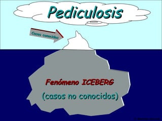F. Martínez Sánchez Pediculosis Fenómeno ICEBERG (casos no conocidos) Casos conocidos 