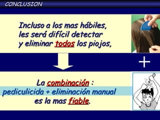 Incluso   a los mas hábiles,  les será difícil detectar y eliminar  todos  los piojos,   La  combinación  : pediculicida + eliminación manual es la mas  fiable . CONCLUSION 