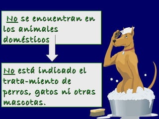 No  está indicado el trata-miento de perros, gatos ni otras mascotas. No  se encuentran en los animales domésticos 