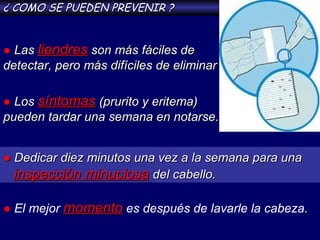 ¿ COMO SE PUEDEN PREVENIR ? ●   Las  liendres  son más fáciles de  detectar, pero más difíciles de eliminar ●   Los  síntomas  (prurito y eritema)  pueden tardar una semana en notarse.  ●   Dedicar diez minutos una vez a la semana para una  inspección minuciosa  del cabello. ●   El mejor  momento  es después de lavarle la cabeza. 