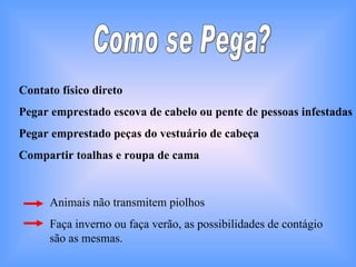 Como se Pega? Contato físico direto Pegar emprestado escova de cabelo ou pente de pessoas infestadas Pegar emprestado peças do vestuário de cabeça Compartir toalhas e roupa de cama Animais não transmitem piolhos Faça inverno ou faça verão, as possibilidades de contágio são as mesmas. 