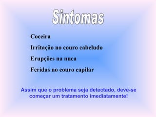 Sintomas Coceira Irritação no couro cabeludo Erupções na nuca Feridas no couro capilar Assim que o problema seja detectado, deve-se começar um tratamento imediatamente! 