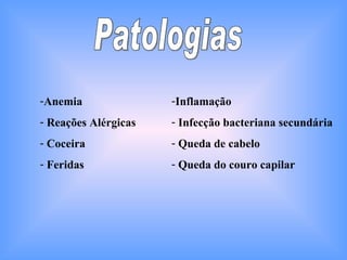 Patologias Anemia Reações Alérgicas Coceira Feridas Inflamação Infecção bacteriana secundária Queda de cabelo Queda do couro capilar 