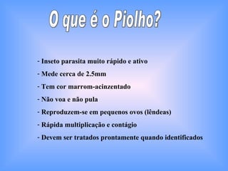 O que é o Piolho? Inseto parasita muito rápido e ativo Mede cerca de 2.5mm Tem cor marrom-acinzentado Não voa e não pula Reproduzem-se em pequenos ovos (lêndeas) Rápida multiplicação e contágio Devem ser tratados prontamente quando identificados 