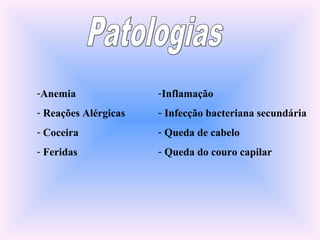 -Anemia
- Reações Alérgicas
- Coceira
- Feridas
-Inflamação
- Infecção bacteriana secundária
- Queda de cabelo
- Queda do couro capilar
 