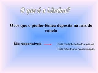 Ovos que o piolho-fêmea deposita na raiz do
cabelo
São responsáveis Pela multiplicação dos insetos
Pela dificuldade na eliminação
 