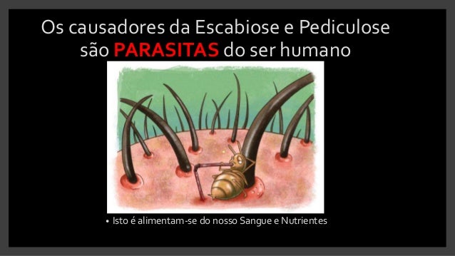 Escabiose e Pediculose