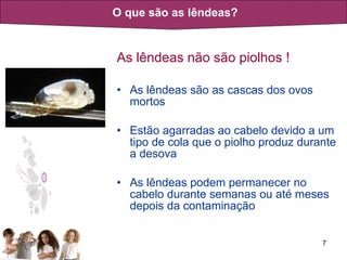 As lêndeas não são piolhos ! As lêndeas são as cascas dos ovos mortos Estão agarradas ao cabelo devido a um tipo de cola que o piolho produz durante a desova As lêndeas podem permanecer no cabelo durante semanas ou até meses depois da contaminação O que são as lêndeas? 