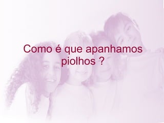 Como é que apanhamos piolhos ? 