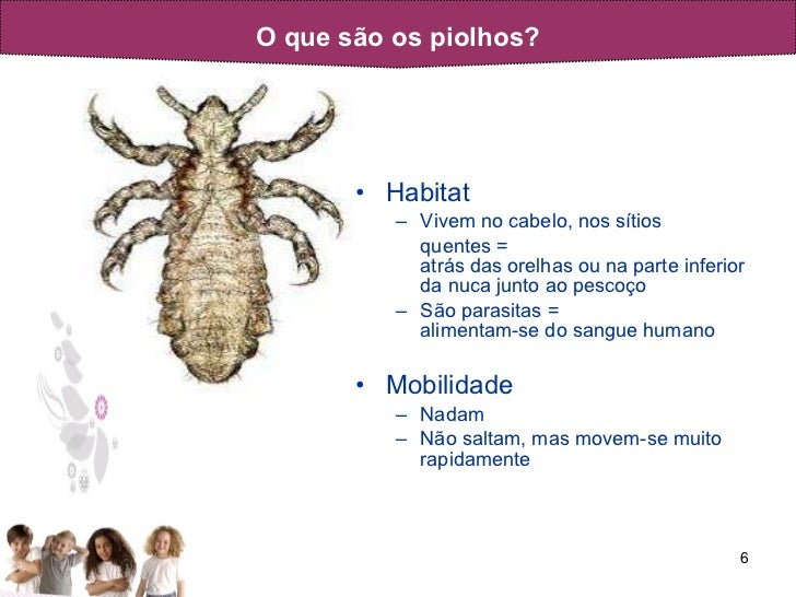 Piolhos