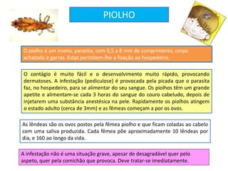 O contágio é muito fácil e o desenvolvimento muito rápido, provocando
dermatoses. A infestação (pediculose) é provocada pela picada que o parasita
faz, no hospedeiro, para se alimentar do seu sangue. Os piolhos têm um grande
apetite e alimentam-se cada 3 horas do sangue do couro cabeludo, depois de
injetarem uma substância anestésica na pele. Rapidamente os piolhos atingem
o estado adulto (cerca de 3mm) e as fêmeas começam a por os ovos.
As lêndeas são os ovos postos pela fêmea piolho e que ficam coladas ao cabelo
com uma saliva produzida. Cada fêmea põe aproximadamente 10 lêndeas por
dia, e 160 ao longo da vida.
A infestação não é uma situação grave, apesar de desagradável quer pelo
aspeto, quer pela comichão que provoca. Deve tratar-se imediatamente.
PIOLHO
O piolho é um inseto, parasita, com 0,5 a 8 mm de comprimento, corpo
achatado e garras. Estas permitem-lhe a fixação ao hospedeiro.
 