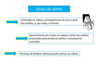 Comichão na cabeça, principalmente na nuca e atrás
das orelhas, e, por vezes, na fronte.
Aparecimento de crostas na cabeça e atrás das orelhas,
provocadas pela picada do piolho e consequente
comichão.
Presença de lêndeas esbranquiçadas presas ao cabelo.
Sinais de alerta
 