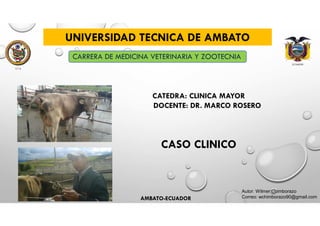 ECUADOR
U.T.A
UNIVERSIDAD TECNICA DE AMBATO
CARRERA DE MEDICINA VETERINARIA Y ZOOTECNIA
Autor: Wilmer Chimborazo
Correo: wchimborazo90@gmail.com
CASO CLINICO
CATEDRA: CLINICA MAYOR
DOCENTE: DR. MARCO ROSERO
AMBATO-ECUADOR
 