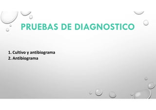 PRUEBAS DE DIAGNOSTICO
1. Cultivo y antibiograma
2. Antibiograma
 