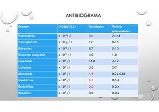Examen Unidad (S.I.) Resultados Valores
referenciales
Hematocrito x 10-2 l /l 34 24-46
Hemoglobina x 10 g / l 12 8-15
Eritrocitos x 1012 / l 8.7 5-10
Recuento plaquetas x 1011 / l 4.0 1-8
Leucocitos x 109 / l 15.0 4-12
Linfocitos x 109 / l 5.0 2-7
Monocitos x 109 / l 1.9 0.02-0.85
Neutrófilos x 109 / l 6.1 0,6-4
Eosinófilos x 109 / l 2.0 0-2.4
Basófilos x 109 / l 0.0 0-0.2
ANTIBIOGRAMA
 