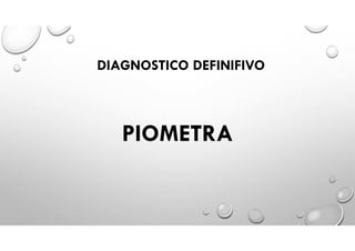 PIOMETRA
DIAGNOSTICO DEFINIFIVO
 