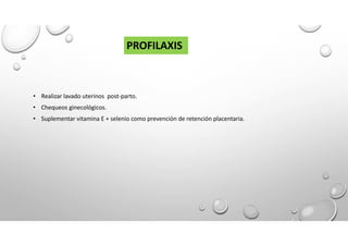 • Realizar lavado uterinos post-parto.
• Chequeos ginecológicos.
• Suplementar vitamina E + selenio como prevención de retención placentaria.
PROFILAXIS
 