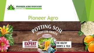 Pioneer Agro
 