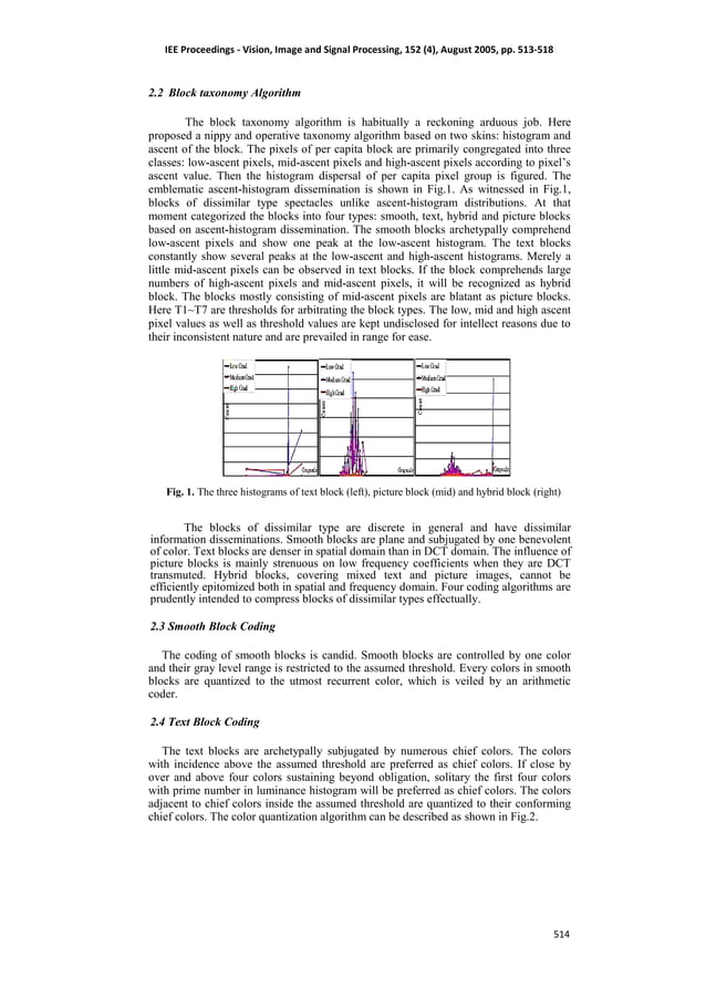 Pioneering VDT Image Compression using Block Coding | PDF image.